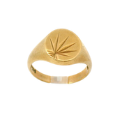 9CT Pre-owned Signet Ring (Size X 1/2)
